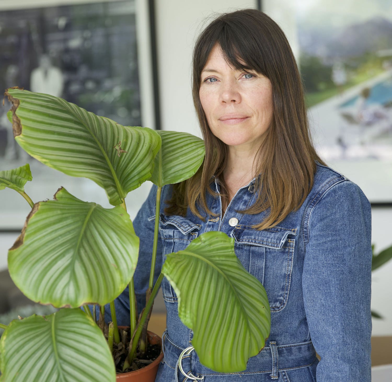 How to Care for Houseplants in Winter